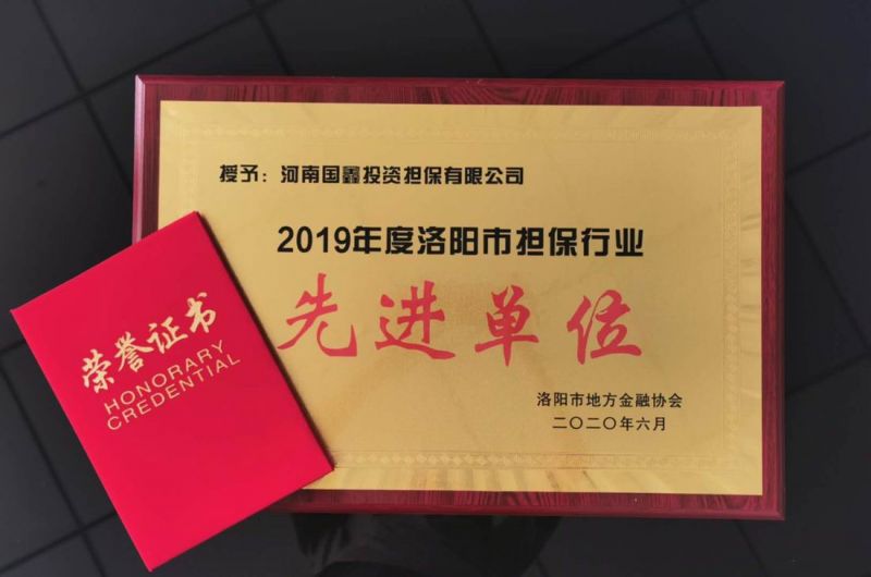 國鑫公司榮獲地方金融協(xié)會“2019年度洛陽市擔保行業(yè)先進單位” 